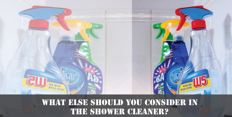 What-else-should-you-consider-in-the-shower-cleaner