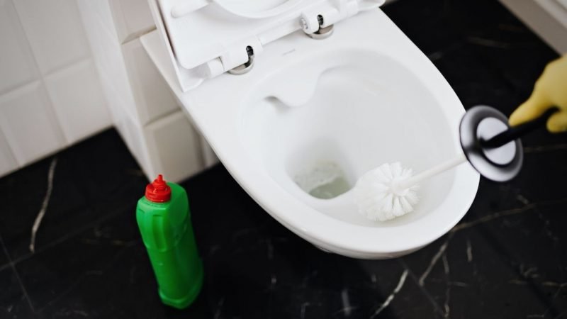 Can You Put Drano Down The Toilet? - Everything You Need To Know