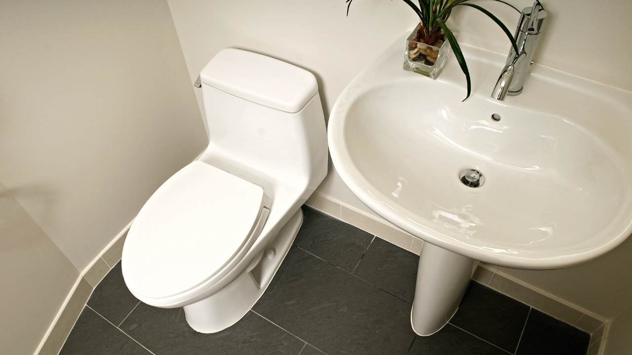 Can You Put Drano Down The Toilet? - Everything You Need To Know