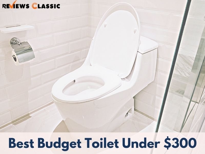 Best Toilet Under $300