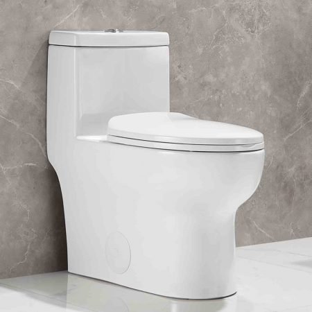 DeerValley DV-1F026 Dual Flush Elongated Toilet