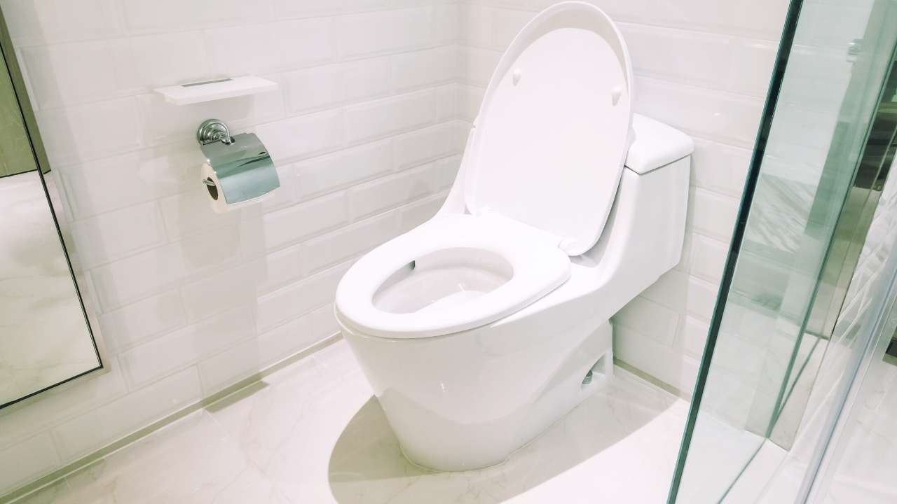 One Piece Vs Two Piece Toilet Everything You Need To Know