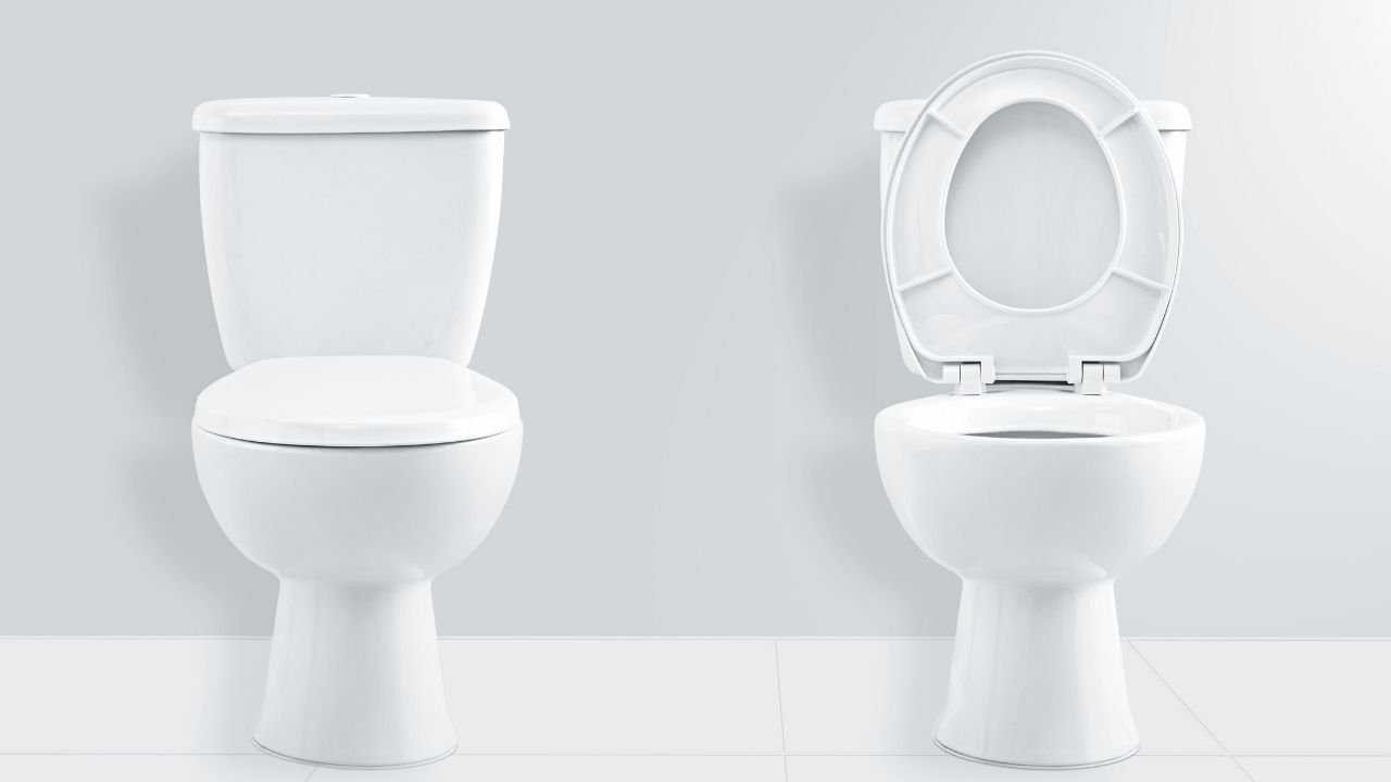 One Piece Vs Two Piece Toilet Everything You Need To Know